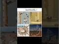 Sad Reality..! #motivation #viral #video