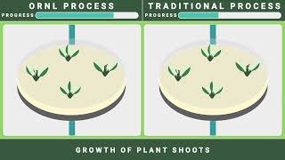 New approach ‘stacks’ genes for faster plant transformation