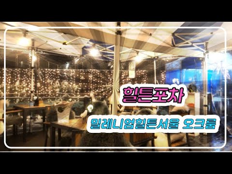 추억의 밀레니엄힐튼서울호텔/오크룸/힐튼포차