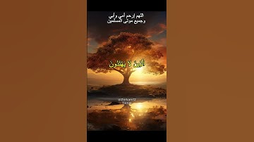 وَمَن كَفَرَ فَإِنَّ رَبِّي غَنِيٌّ كَرِيمٌ (اسلام صبحي) سورة النمل