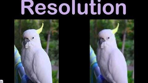 How computers represent and transfer DIGITAL IMAGES