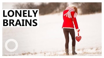 Explainer: What Loneliness Looks Like in the Human Brain