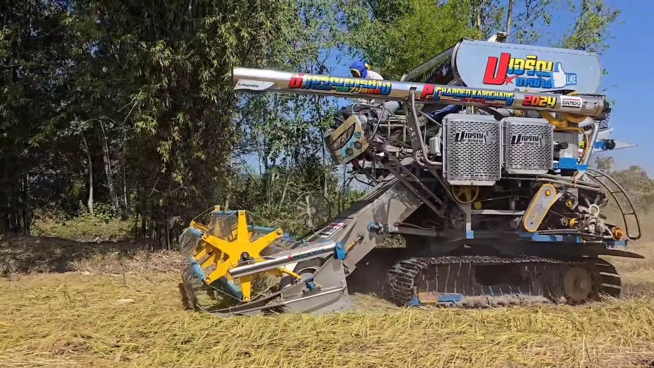 กินข้าวล้มนิ่มๆคล่องจริงๆค่าย ป.เจริญการช่างbyช่างปุ๊.บรรยากาศนาปี⁶⁷