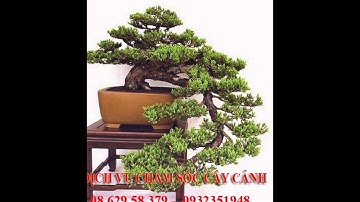 , 0932351948.]] dịch vụ chăm sóc cây cảnh tại nhà  quận hóc môn.tphcm