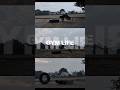 Gym workout video 🔥#songlyrics #viral #trending #fypシ゚viral #gymworkout #gym #shorts #millionviews