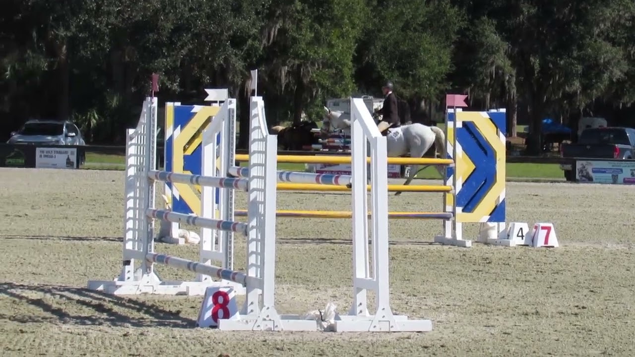 Luna Ace jumping 1.25m height at a show for 1st time @ Florida Horse Park - clean