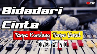Bidadari Cinta || Tanpa Kendang || Tanpa Vocal || Korg Pa 700