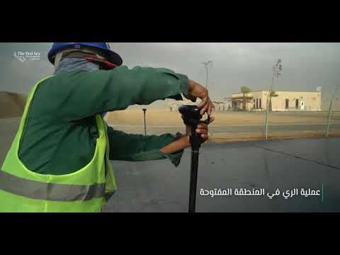 مشتل مشروع البحر الأحمر