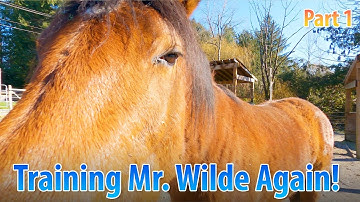 Preparing My B.C. Wildie For Riding While Leaving No Gaps Along The Way (Part 1)