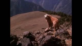 Homeward Bound- The Journey Begins