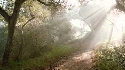 Baba (Father): Song from Belize by Adrian Martinez...