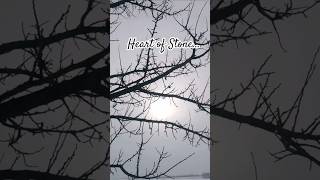 Healing 🤍 by @OrynEtheria | #hearthealingmusic #messagemusic #naturemessage #shorts