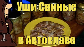 Уши Свиные в Автоклаве в домашних условиях Холодец из Свиных ушей Рецепт / autoclave canning