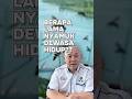 Berapa lama nyamuk hidup?