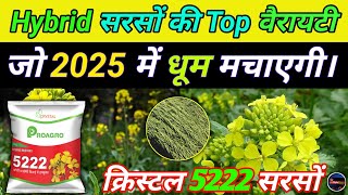 सरसों की टॉप वैरायटी 2025 | Crystal 5222 Sarson | Mustard Best Varieties | Digital Kisan 