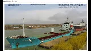 Sulina Maya S und Gordion 2023 04 10 11 57
