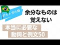 本当に覚えて欲しいポルトガル語の動詞と例文51-100 [#aula380]