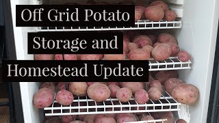 Off Grid Potato Storage and Homestead Update Shed to Cabin