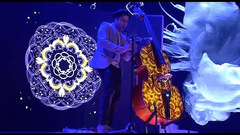 Double Bass Projection Mapping & Looping - Adam Ben Ezra Solo