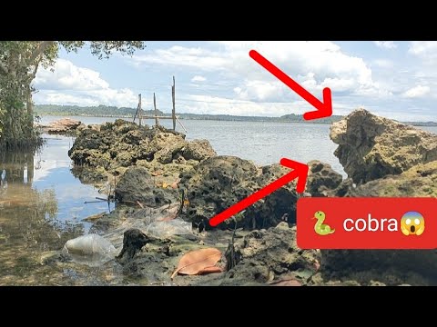viral#mala cobrang bato sa dulo Ng lumang pantalan😱dinarayo
