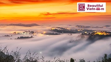 Head in the clouds in dreamy Da Lat| VnExpress International