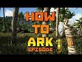 How To Ark Ep.1 Server, Character, Stats