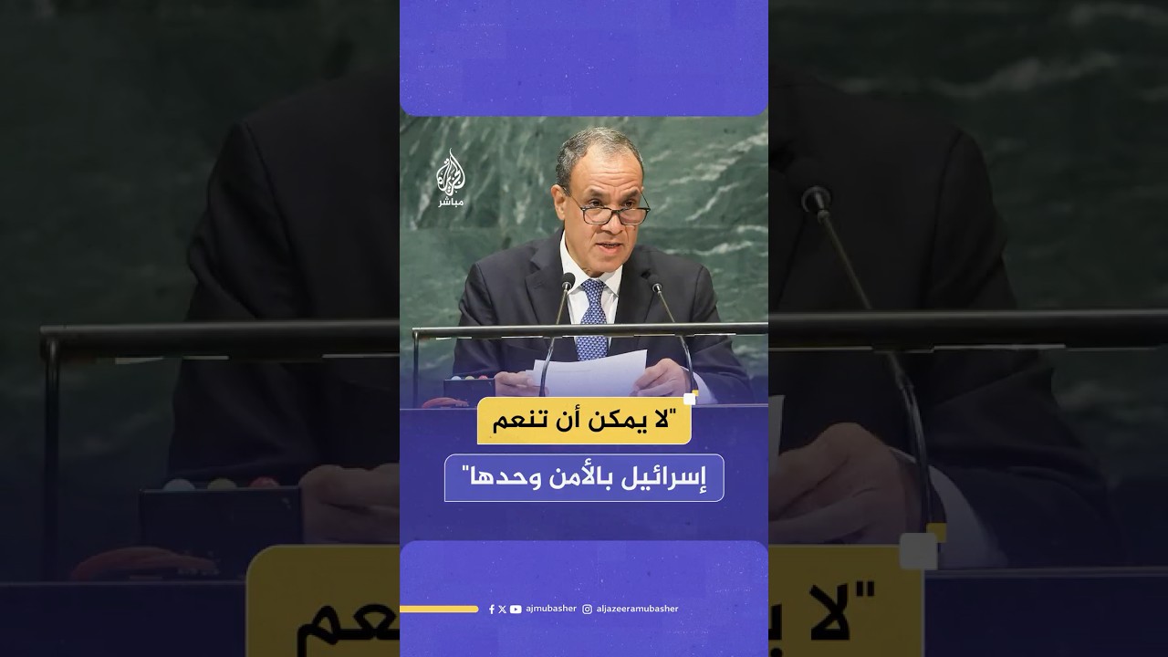 وزير الخارجية المصري: لا يمكن أن تنعم إسرائيل بالأمن فيما ينعدم الأمن لدى الآخرين