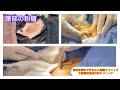 腹部の粉瘤　ブログでも粉瘤について詳しく解説してます。東京皮膚のデキモノと粉瘤クリニック　ふるばやし形成外科　東京新宿院　大阪梅田形成外科クリニック