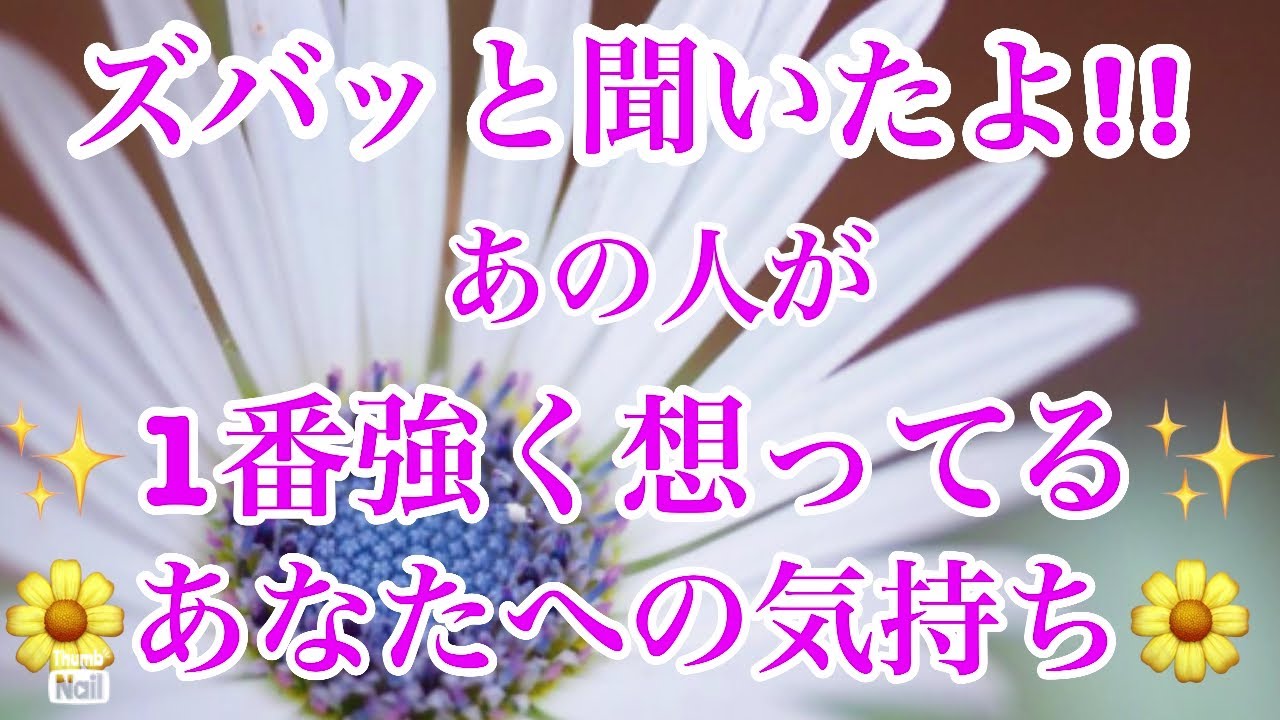 あの人が1番強く想ってるあなたへの気持ち✨‼️