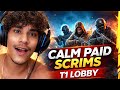 CALM  PAID SCRIMS| T1 INTERNATIONAL LOBBY |