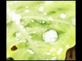 サザンオールスターズ ドラマで始まる恋なのに(カバー)