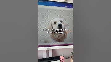 How to Stop Canva from Freezing & Crashing