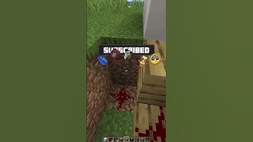 Minecraft Block Swapper #minecraft