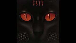 Cats - The Woman in White