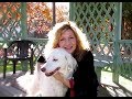 Loving Cooper - When Your Beloved Dog Dies