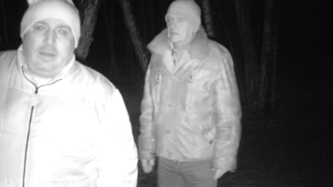 Фотоловушка Bolyguard BG310 первый городской тест