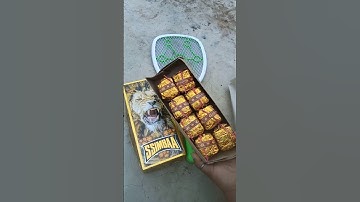 Best diwali patakhe // pataka experiment // 😲😂 #pataka #fireworks #diwali #crackers #Shorts #Short