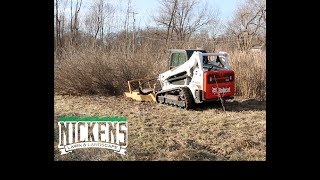 2019 Bobcat T595 + Diamond 72' Rotary Mower | Land Clearing