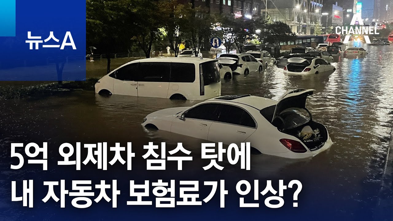 5억 외제차 침수 탓에 내 자동차 보험료가 인상? | 뉴스A