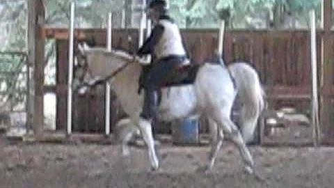 Sandy riding Gwyn's Arab gelding, Laddie Jan 2010