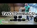Rocking two trimbag dry trimmers to trim up some good sized buds