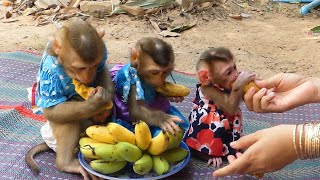 Day Pruno Learn To Eat Banana With Jenna Shusy, Mom So Care Pruno