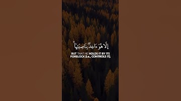 {رَبَّنَا أَفْرِغْ عَلَيْنَا صَبْرًا وَتَوَفَّنَا مُسْلِمِين}.[سورة الاعراف، آية:126]﻿