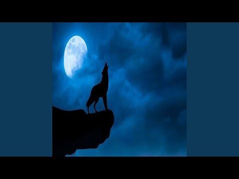 يرزقني اللي يرزق الذيب والطير 