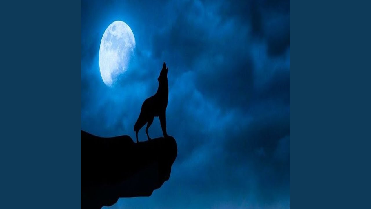 يرزقني اللي يرزق الذيب والطير