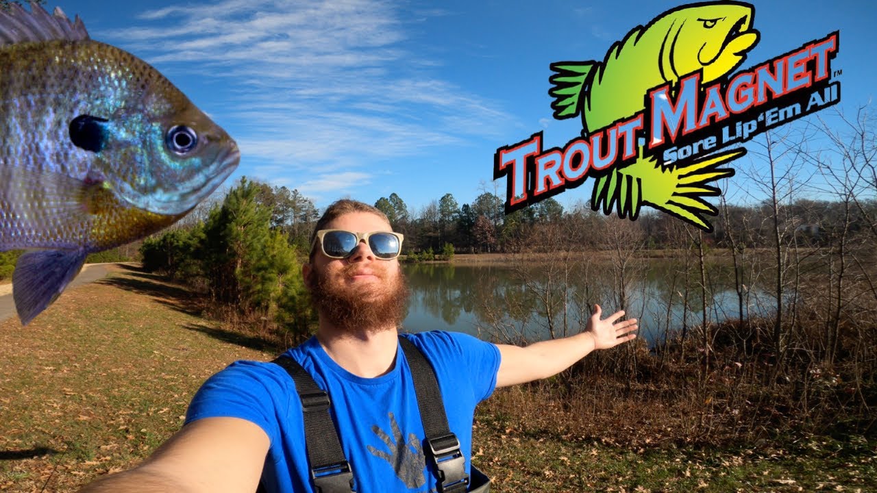 Trout Fishing and Review YouTube