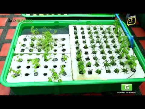 MADE Aquaponics Philippines Part 2 of 2 - YouTube