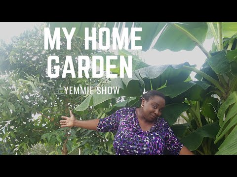 MY HOME EDIBLE GARDEN TOUR | Garden to Table Edible Landscaping  With Vegetables and Tropical Tress