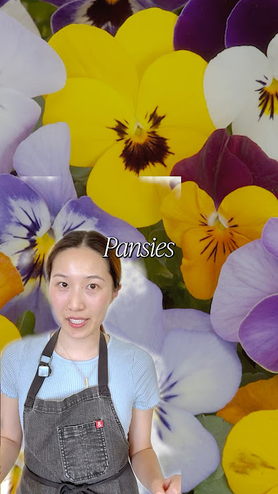 Download lagu STOP Using Toxic Flowers on Cakes. SAVE This List of Edible Flowers and Use These Instead!