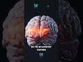 Brain Fog? Watch this